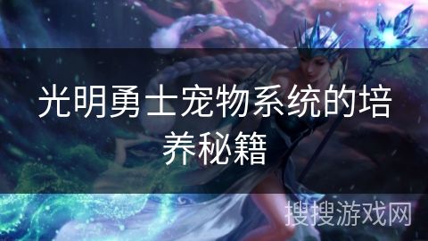 光明勇士宠物系统的培养秘籍