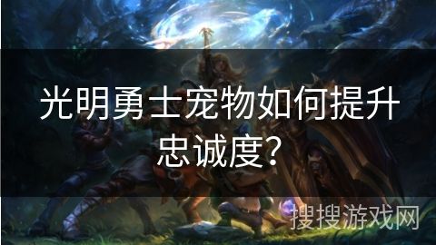 光明勇士宠物如何提升忠诚度？