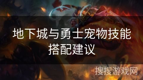 地下城与勇士宠物技能搭配建议