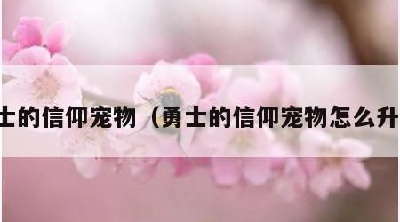 勇士的信仰宠物（勇士的信仰宠物怎么升级）