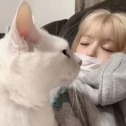 永久不换的女生头像抱猫图片