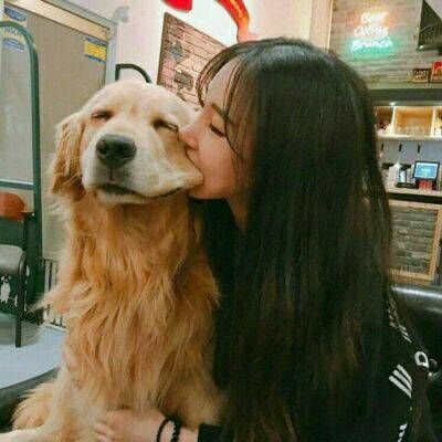 女生抱着狗头像与狗合拍的头像