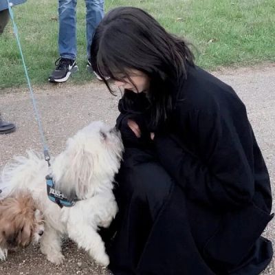 美女抱动物头像_女生头像_我要个性网