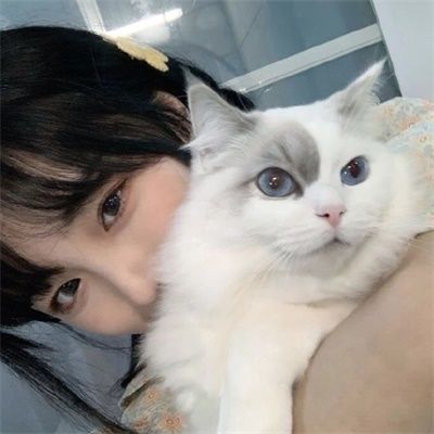 抱猫咪女生唯美可爱头像高清美女宠物猫咪图片大全