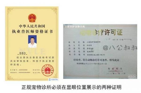 宠物医师资格证好不好考