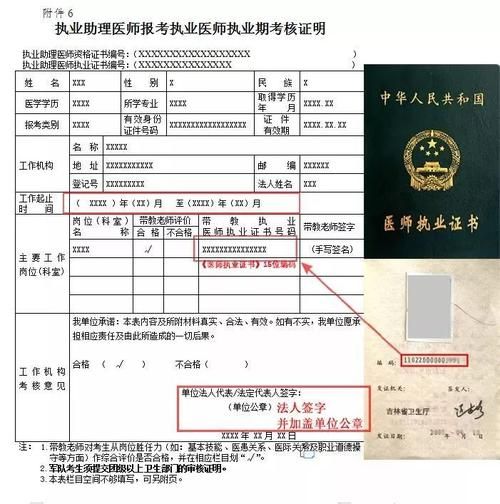 助理宠物医师,助理宠物医师资格证报考条件