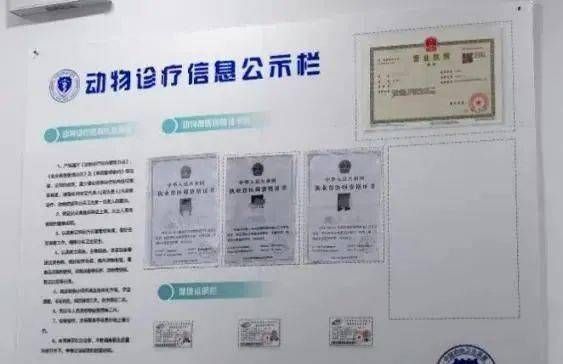 宠物医院资格证,宠物医院从业人员资质
