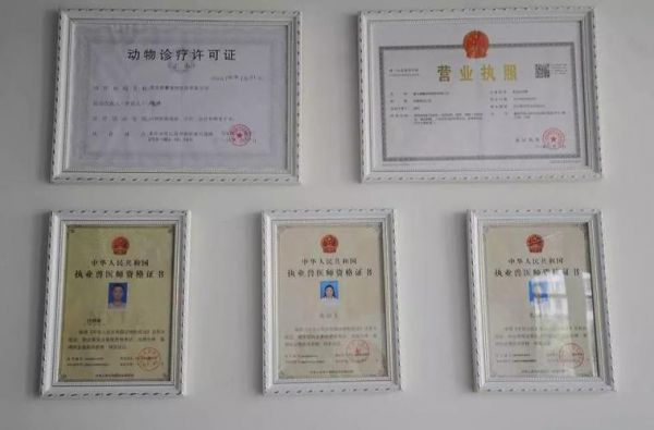 宠物医院资格证,宠物医院从业人员资质