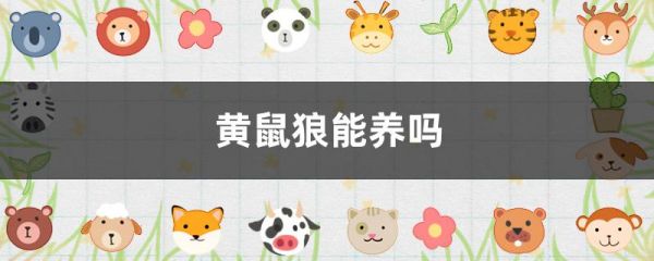 黄鼠狼能养吗
