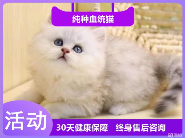 店主头像