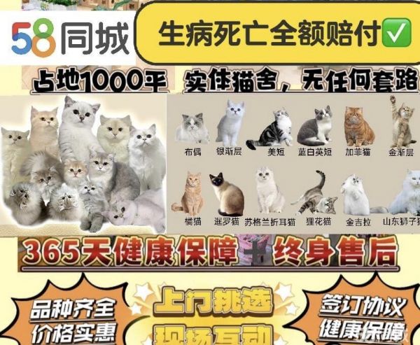 店主头像