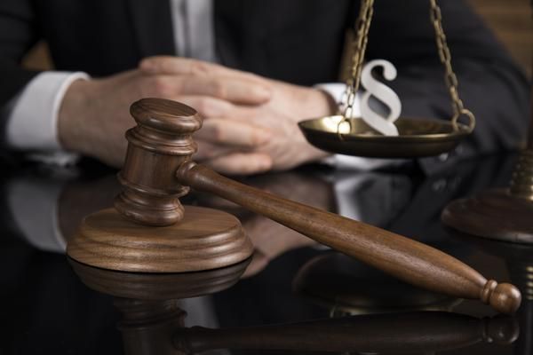 哪里买猫合同：合法购买猫咪的法律保障与注意事项 图1