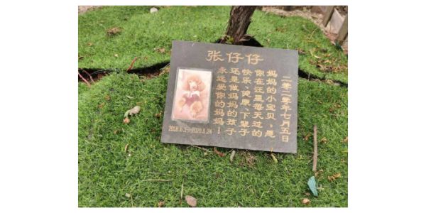 西安宠物火化总部,宠物火化