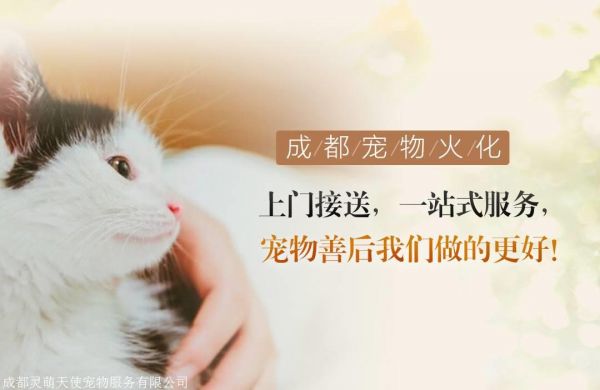 成都宠物殡葬中心