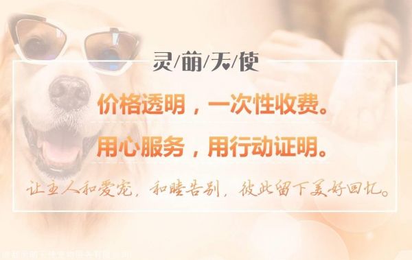 成都宠物殡葬中心