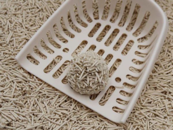 甘井子区可冲马桶豆腐猫砂批发价格 欢迎来电 普元宠物用品供应