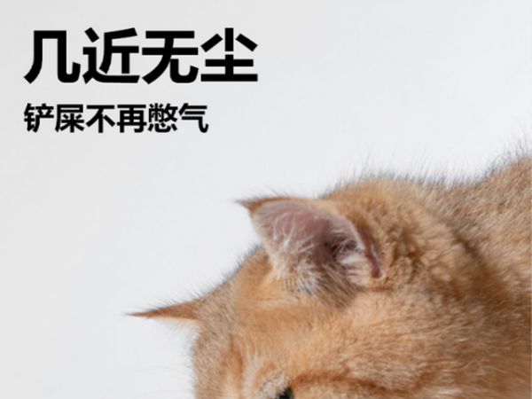 附近矿砂怎么样 诚信为本 普元宠物用品供应
