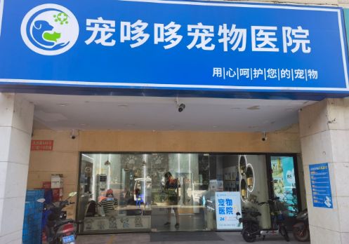 宠哆哆宠物医院：专业医疗守护宠物健康