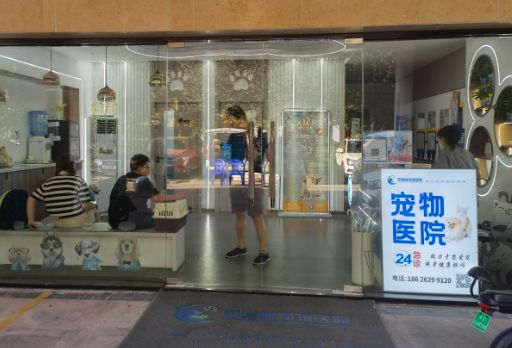 宠哆哆宠物医院：专业医疗守护宠物健康