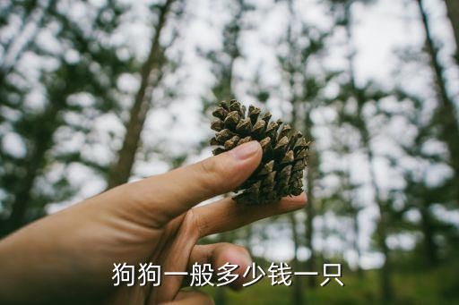 狗狗一般多少钱一只