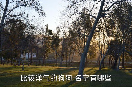 比较洋气的狗狗 名字有哪些