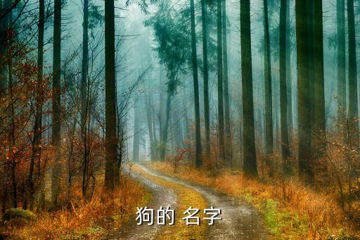 狗的 名字