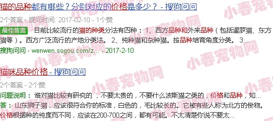猫咪的品种及价格