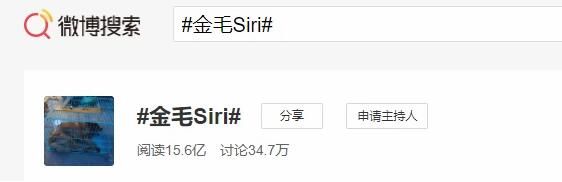 收空运的钱却走陆运？宠物托运途中死亡，多部门介入，陈乔恩愤怒发声