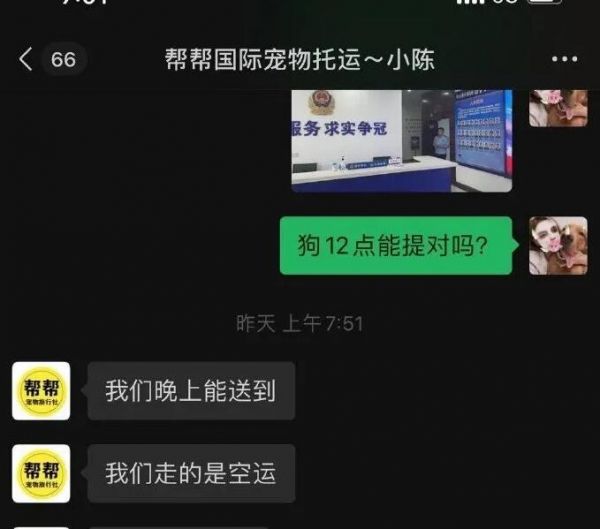 收空运的钱却走陆运？宠物托运途中死亡，多部门介入，陈乔恩愤怒发声