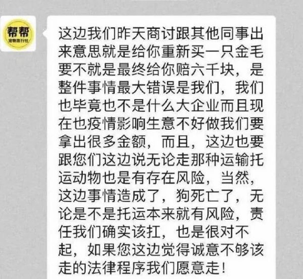 收空运的钱却走陆运？宠物托运途中死亡，多部门介入，陈乔恩愤怒发声