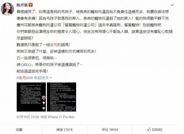 收空运的钱却走陆运？宠物托运途中死亡，多部门介入，陈乔恩愤怒发声