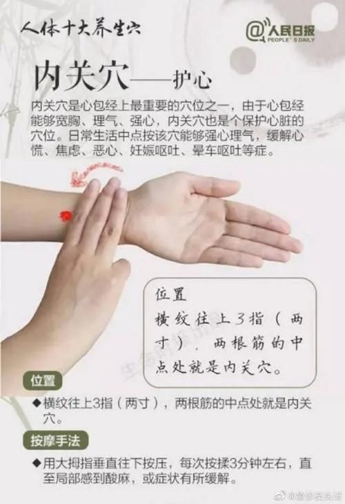 马罗匹坦：宠物止吐针，缓解晕车恶心呕吐