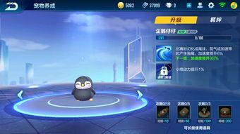 QQ飞车手游竞速模式下，哪只宠物能让你一骑绝尘？ 2