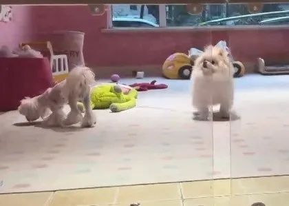 一天跑9家，男子直呼：比上班赚多了！律师提醒→
