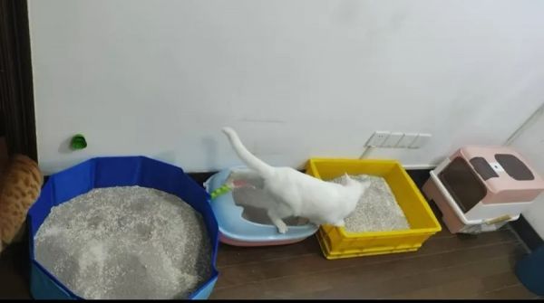 一天跑9家，男子直呼：比上班赚多了！律师提醒→