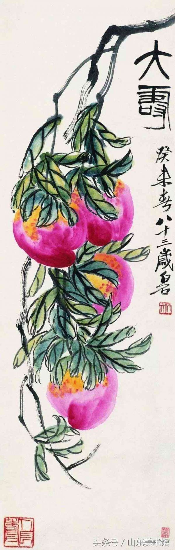 灵动松鼠，创意无限：打造独特松鼠广告传口号
