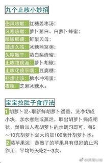 宠物育儿必备清单