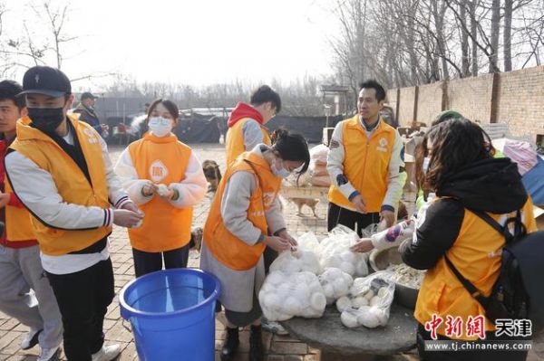 开放日现场，天津外国语大学学生与志愿者一同为流浪动物准备食物。 黄春喆 摄