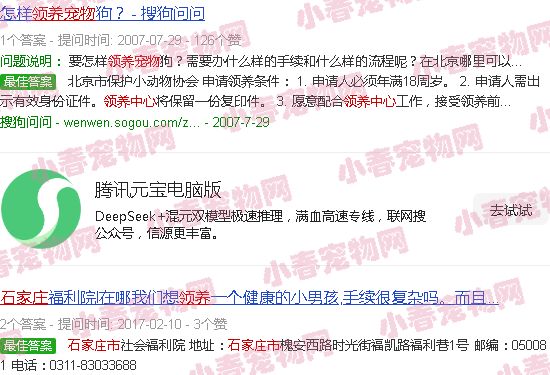 石家庄有宠物领养中心