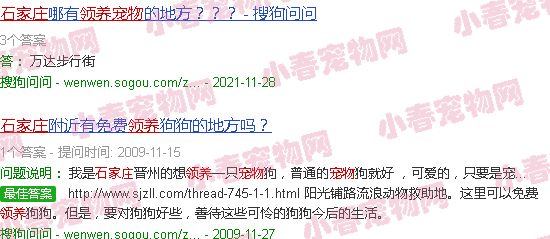 石家庄宠物领养平台
