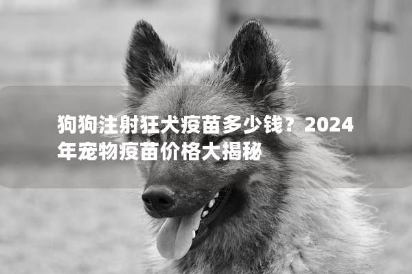 狗狗注射狂犬疫苗多少钱？2024年宠物疫苗价格大揭秘