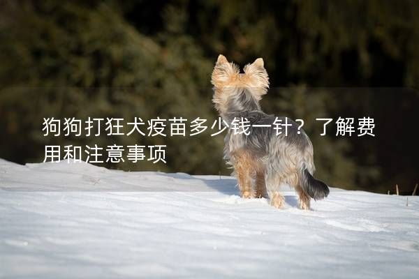 狗狗打狂犬疫苗多少钱一针？了解费用和注意事项