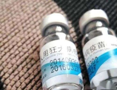 宠物狂犬疫苗价格咨询