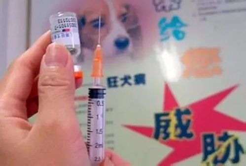 “宠物疫苗价格,狂犬病疫苗多少钱?”