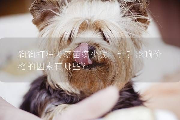 狗狗打狂犬疫苗多少钱一针？影响价格的因素有哪些？