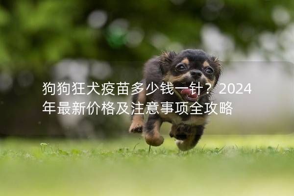 狗狗狂犬疫苗多少钱一针？2024年最新价格及注意事项全攻略