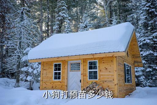 小狗打预苗多少钱