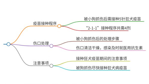 被小狗抓了一下要打几针