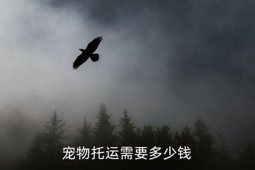 宠物托运需要多少钱