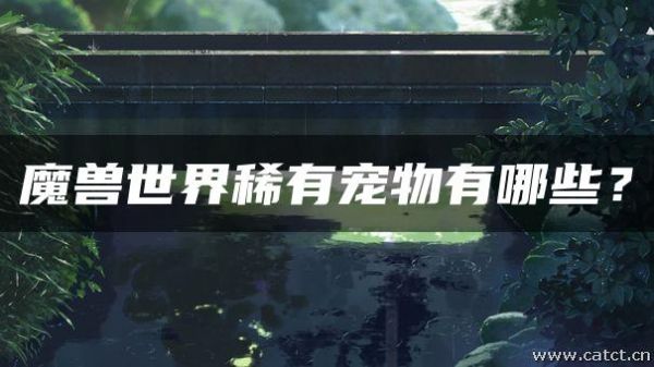 魔兽世界稀有宠物有哪些？